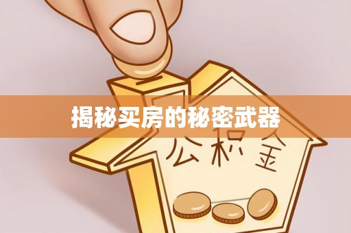 福绵揭秘买房的秘密武器