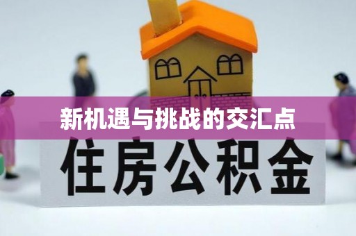 福绵新机遇与挑战的交汇点