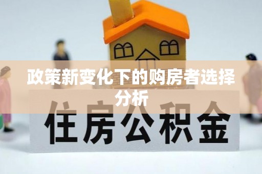 福绵政策新变化下的购房者选择分析