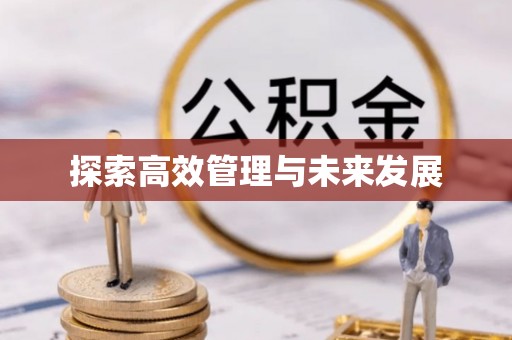 福绵探索高效管理与未来发展