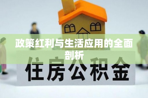福绵政策红利与生活应用的全面剖析