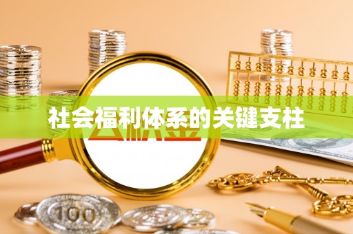 福绵社会福利体系的关键支柱