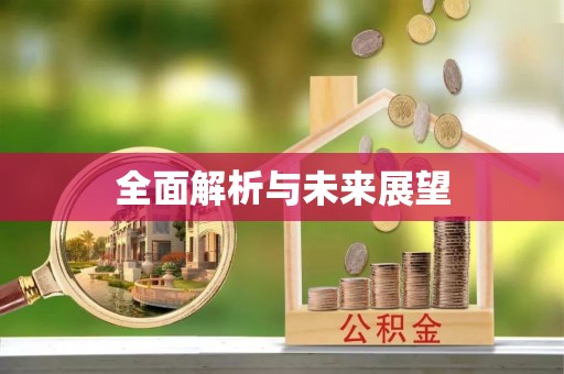 福绵全面解析与未来展望