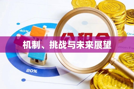 福绵机制、挑战与未来展望