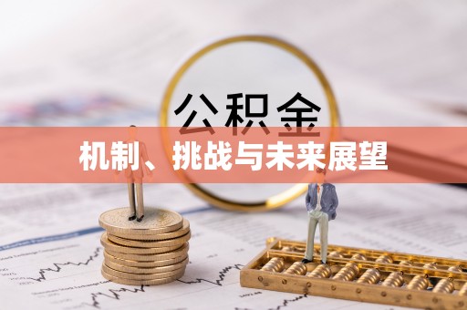 福绵机制、挑战与未来展望